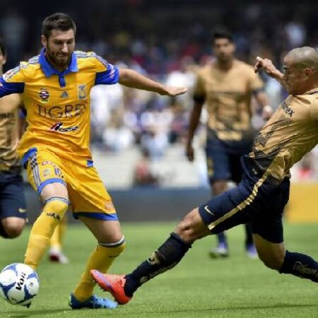 Nhận định kèo Tigres UANL vs UNAM Pumas, 7h ngày 26/9