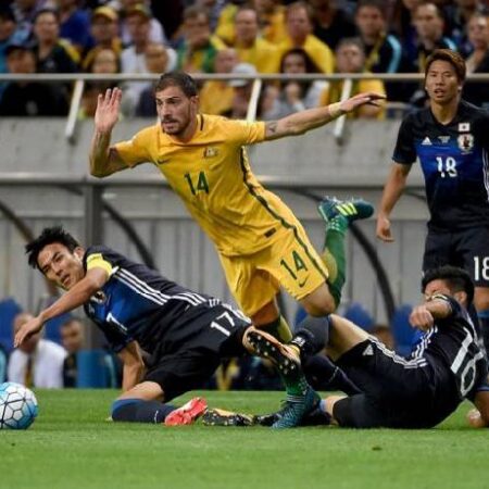 Tiên tri mèo dự đoán Nhật Bản vs Australia, 17h15 ngày 12/10