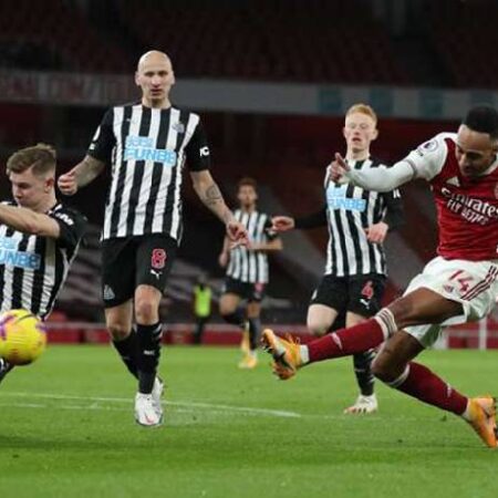 Đại bàng tiên tri dự đoán Arsenal vs Newcastle, 19h30 ngày 27/11