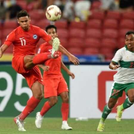 Rùa tiên tri dự đoán Indonesia vs Singapore, 19h30 ngày 25/12