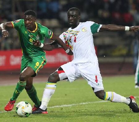 Biến động tỷ lệ kèo Senegal vs Zimbabwe, 20h ngày 10/1