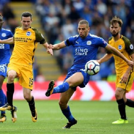 Đại bàng tiên tri dự đoán Leicester vs Brighton, 21h ngày 23/1