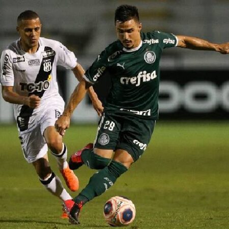 Nhận định kèo Palmeiras vs Ponte Preta, 7h35 ngày 27/1