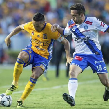 Nhận định kèo Tigres UANL vs Puebla, 8h00 ngày 16/1