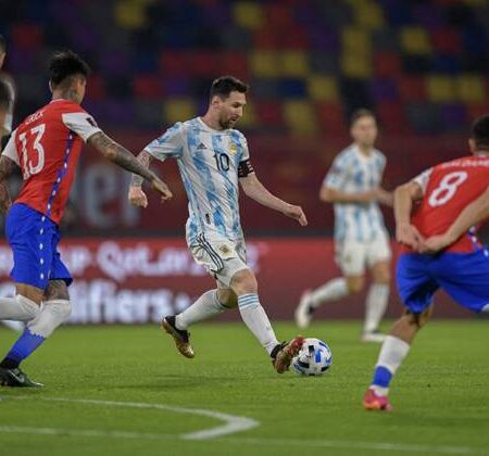 Rùa tiên tri dự đoán Chile vs Argentina, 7h15 ngày 28/1