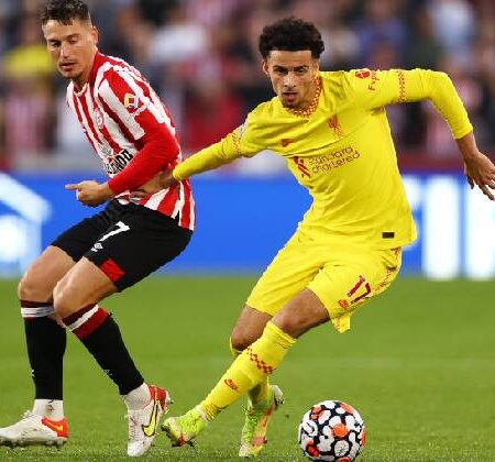 Soi bảng dự đoán tỷ số chính xác Liverpool vs Brentford, 21h ngày 16/1