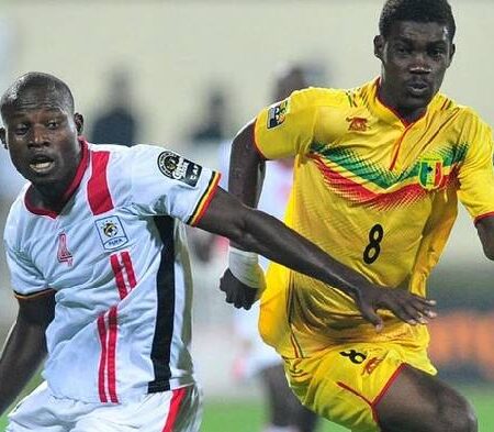 Soi kèo phạt góc Tunisia vs Mali, 20h ngày 12/1