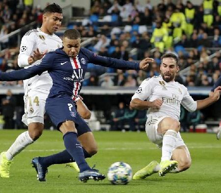 Tiên tri mèo dự đoán PSG vs Real Madrid, 3h ngày 16/2