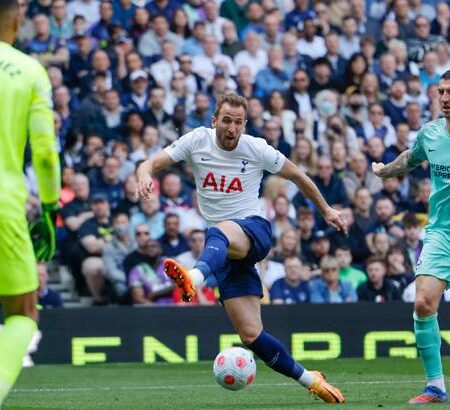 Nhận định kèo Brentford vs Tottenham, 23h30 ngày 23/4