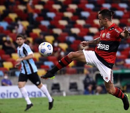 Nhận định kèo Gremio vs Londrina, 5h ngày 29/6