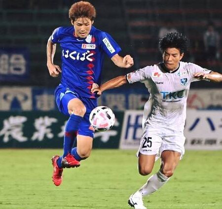 Nhận định kèo Renofa Yamaguchi vs Ventforet Kofu, 17h ngày 26/6