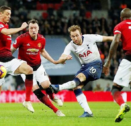 Tiên tri mèo dự đoán MU vs Tottenham, 0h30 ngày 13/3