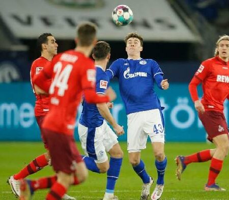 Nhận định kèo Cologne vs Schalke, 22h30 ngày 7/8