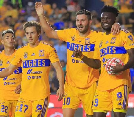 Nhận định kèo Tigres UANL vs Santos Laguna, 7h05 ngày 15/8