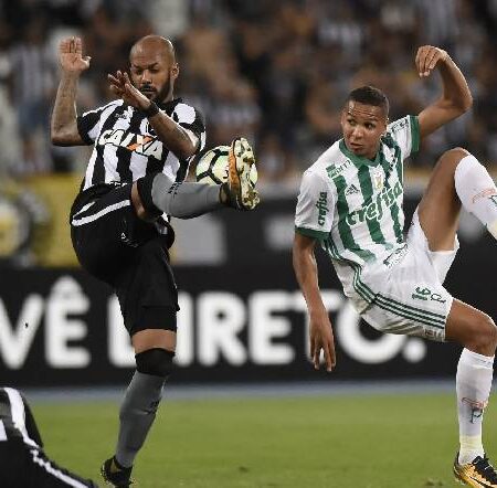 Nhận định kèo Botafogo vs Palmeiras, 6h ngày 4/10