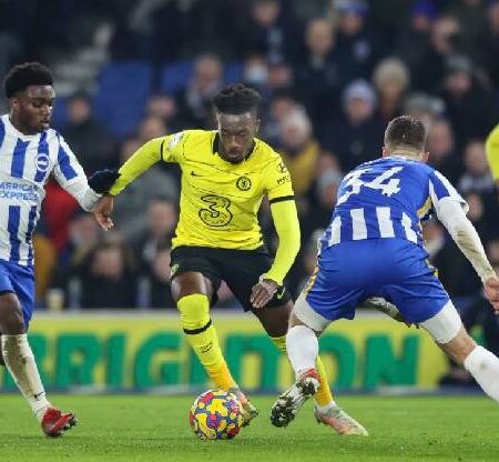 Soi bảng vị cầu thủ ghi bàn Brighton vs Chelsea, 21h ngày 29/10