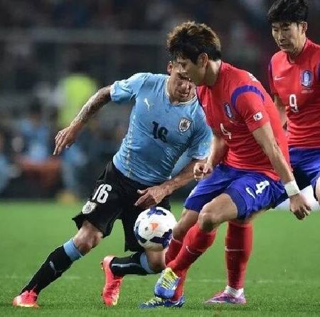 Biến động tỷ lệ kèo Uruguay vs Hàn Quốc, 20h ngày 24/11