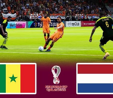 Nhận định kèo Senegal vs Hà Lan, 23h ngày 21/11