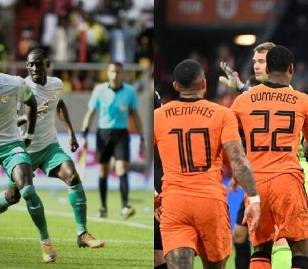 Phân tích kèo hiệp 1 Senegal vs Hà Lan, 23h ngày 21/11