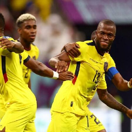 Soi kèo đặc biệt Ecuador vs Senegal, 22h ngày 29/11