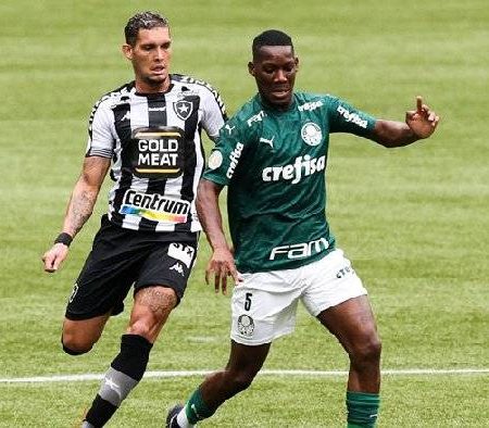 Nhận định kèo Botafogo SP vs Palmeiras, 7h30 ngày 20/1