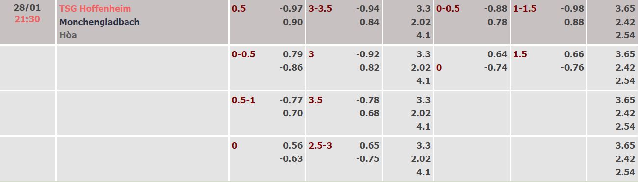 Nhận định, soi kèo Hoffenheim vs Monchengladbach, 21h30 ngày 28/11 - Ảnh 4