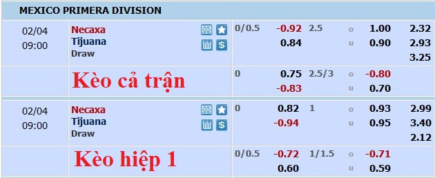 Nhận định, soi kèo Necaxa vs Tijuana, 8h ngày 4/2 - Ảnh 5