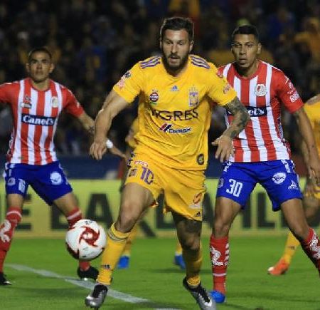 Nhận định kèo Tigres UANL vs San Luis, 8h ngày 29/1