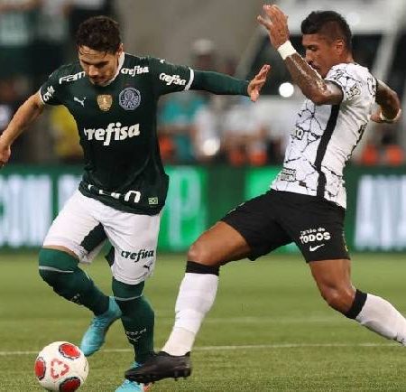 Soi kèo phạt góc Botafogo SP vs Palmeiras, 7h30 ngày 20/1