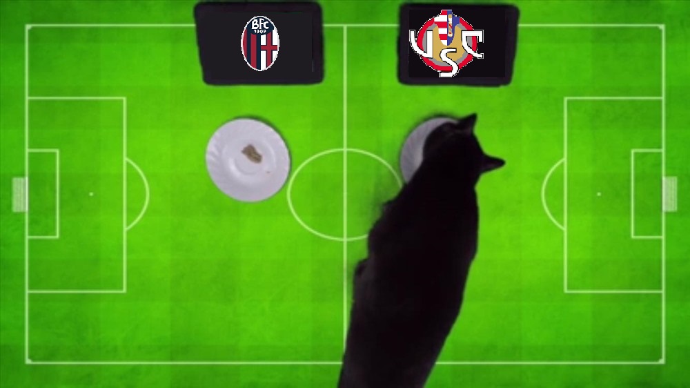 Tiên tri mèo Cass dự đoán Bologna vs Cremonese, 0h30 ngày 24/1 - Ảnh 1