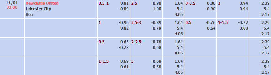 Tỷ lệ kèo nhà cái Newcastle vs Leicester, 3h ngày 11/1 - Ảnh 1
