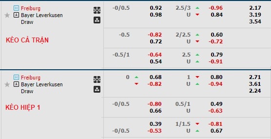 Nhận định, soi kèo Freiburg vs Leverkusen, 21h30 ngày 26/2 - Ảnh 1