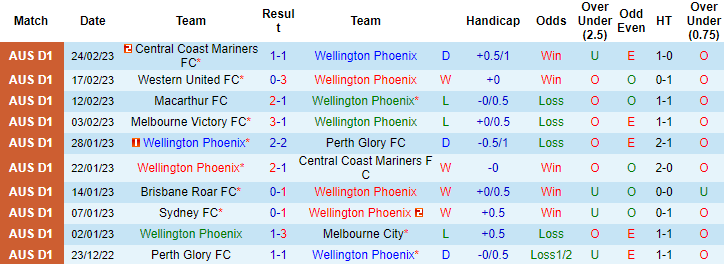 Nhận định, soi kèo Wellington Phoenix vs Newcastle Jets, 9h ngày 4/3 - Ảnh 1