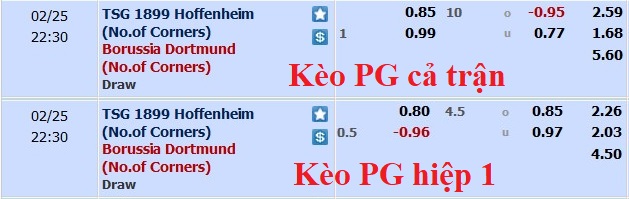 Soi kèo phạt góc Hoffenheim vs Dortmund, 21h30 ngày 25/2 - Ảnh 1