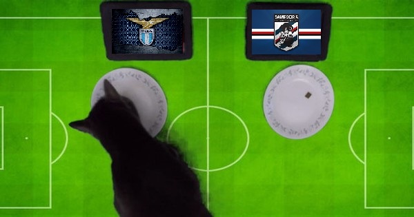 Tiên tri mèo Cass dự đoán Lazio vs Sampdoria, 2h45 ngày 28/2 - Ảnh 1